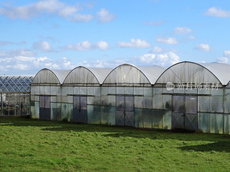 花园中心苗圃内的商业polytunnels / plastic greenhouse图像